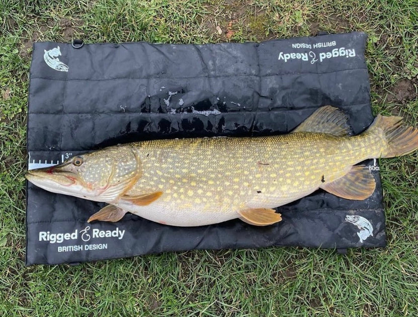 best pike fishing lures uk A GUIDE TO PIKE LURE FISHING