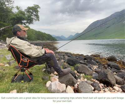 Salt Cured Fishing Bait