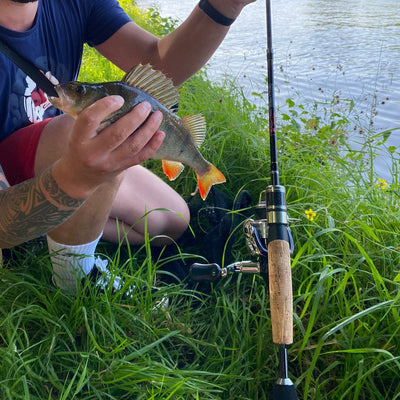 The Best Travel Rod Selection In the World! What is the Best Rod For You?