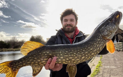 What’s been happening in January?