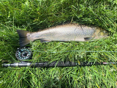 The X5 Rod Our guide to the perfect way to set up this amazing kit