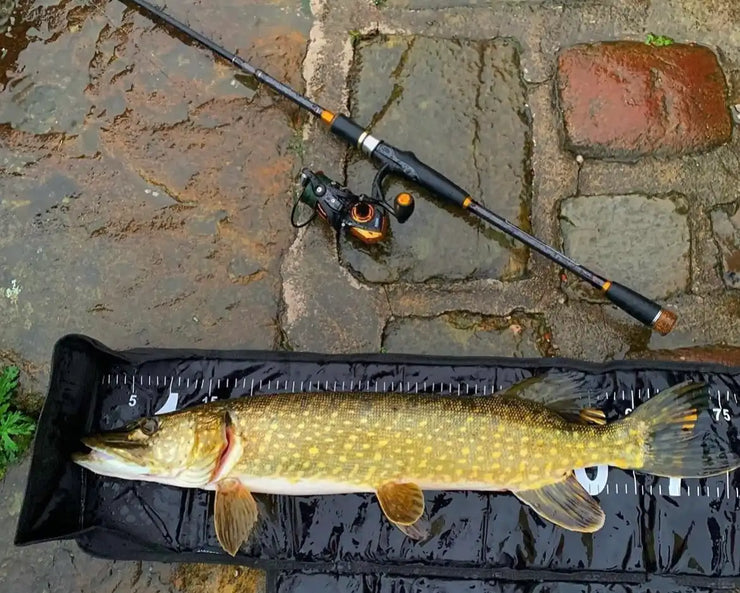 Predator Cast-Spin Unique Fishing Rod 220cm 7'3+185cm 6 + 2 tips